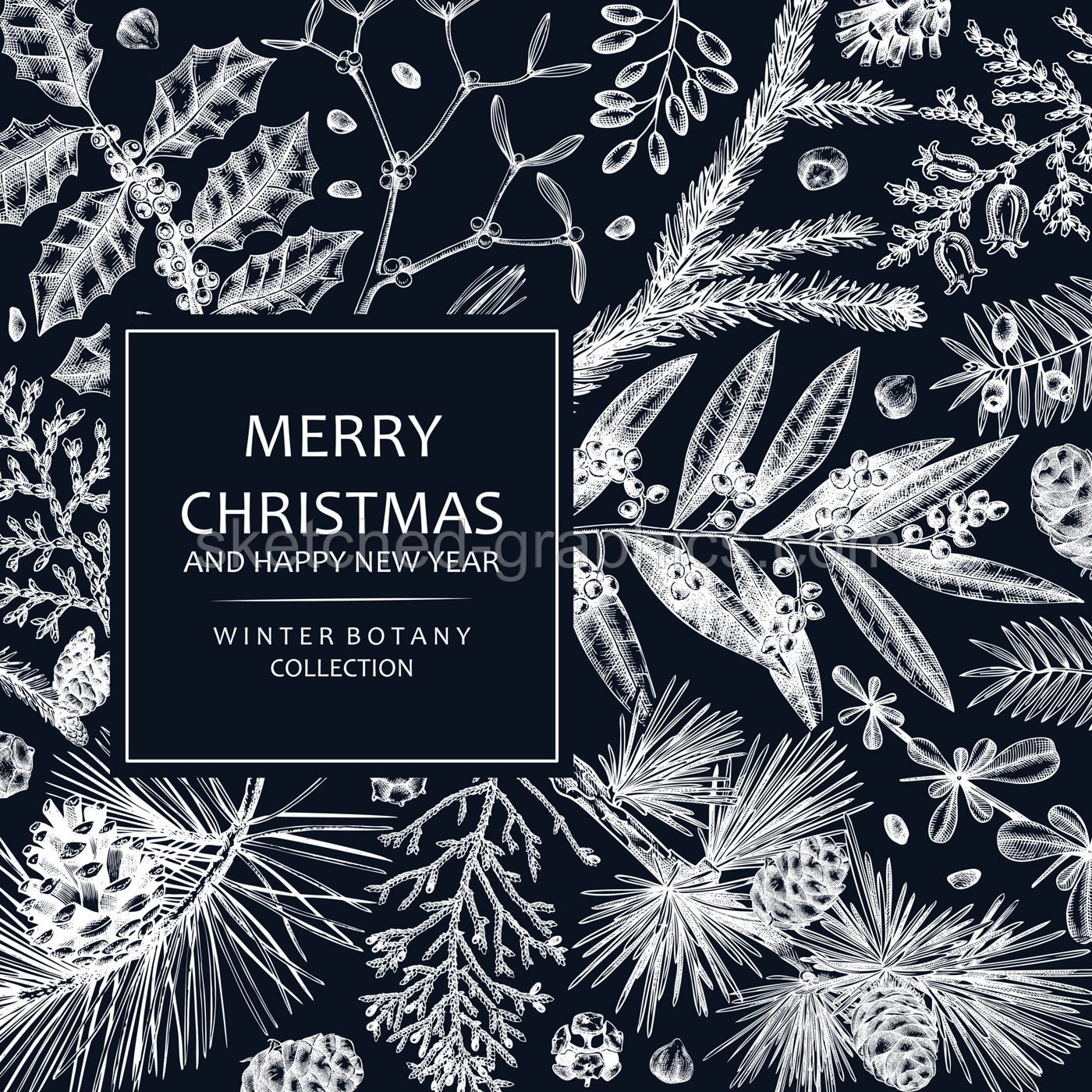 Merry Christmas card  on chalkboard with evergreen plants, conifers, and nuts drawing. Winter design with hand-drawn botanical illustrations. Vintage Christmas background, New Year invitation template Illustration